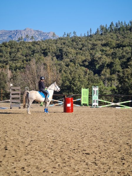 Club Hippique Omessa - photo 3