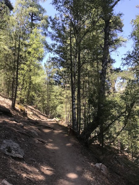 Le Fer à Cheval - photo 3