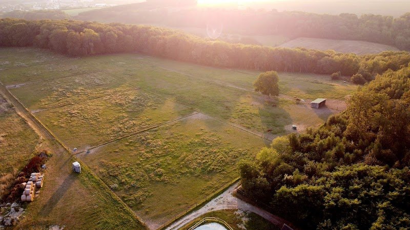 Ecurie d'Orion JFD - photo 2