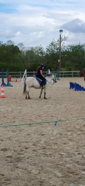 Écurie de Nessa - photo 1