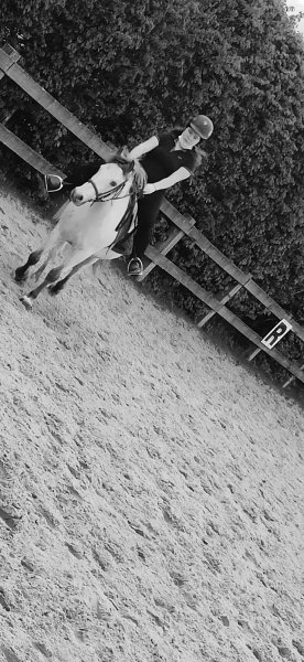 Écurie de Nessa - photo 2