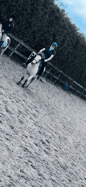 Écurie de Nessa - photo 3