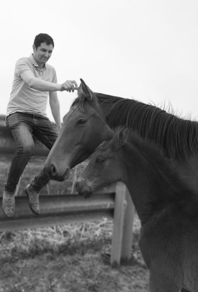 Ecurie de Muria - photo 2