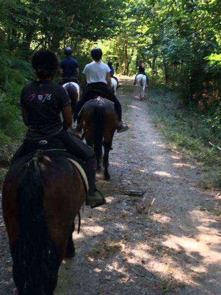 Ferme Équestre A conca d'Orezza - photo 1