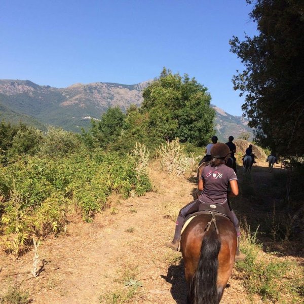 Ferme Équestre A conca d'Orezza - photo 2