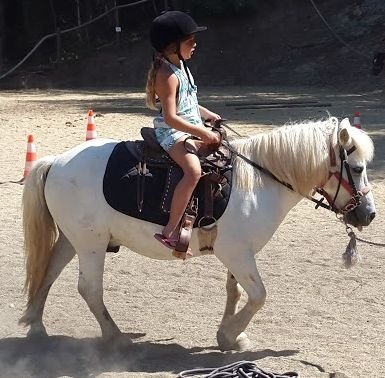 Ferme Équestre A conca d'Orezza - photo 3