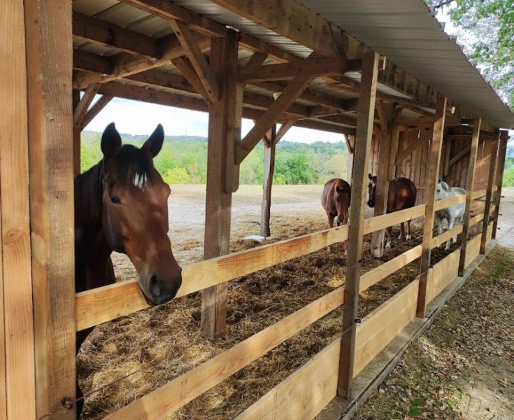 Ecuries De La Millassole - photo 2