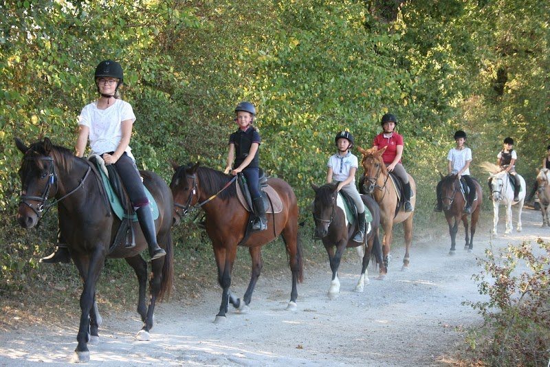 Ecuries De La Millassole - photo 3