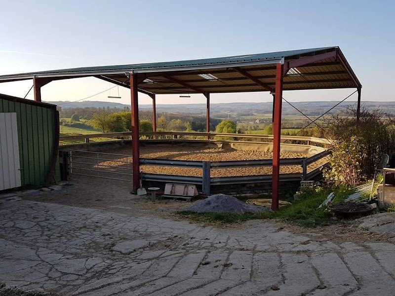 Écuries de Jolivet - photo 3