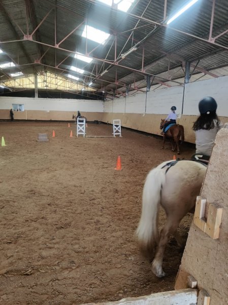Pôle Hippique de Charleville-Mézières - photo 1