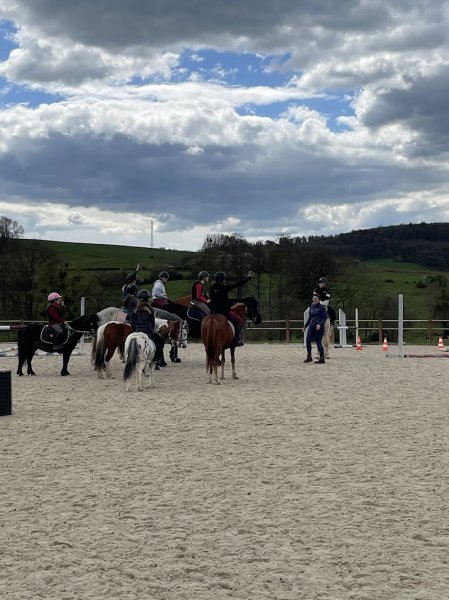 Écuries FOURILE - photo 3