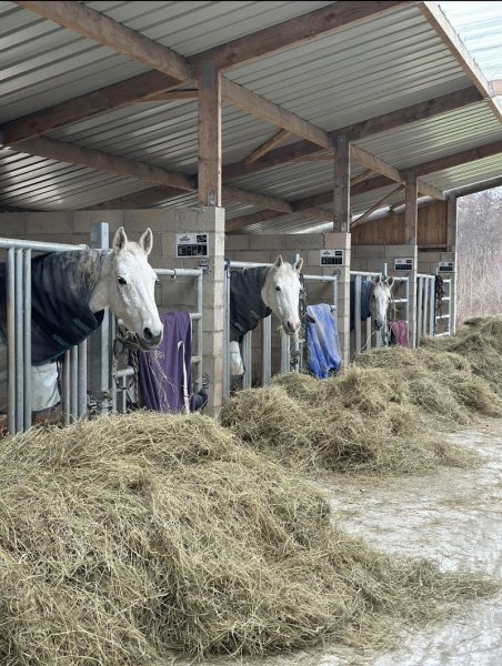 Les écuries de Gerzay - photo 1