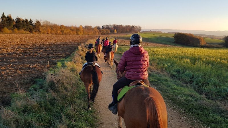 Ferme équestre de la chenaie - photo 1
