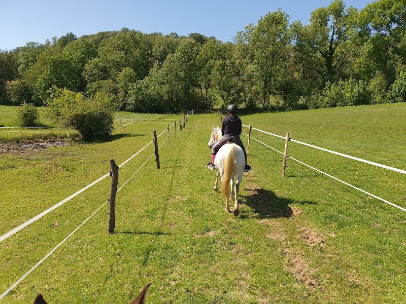 Ferme équestre de la chenaie - photo 2