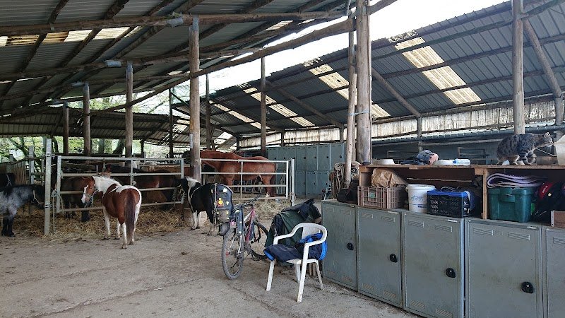 Ferme équestre de la chenaie - photo 3