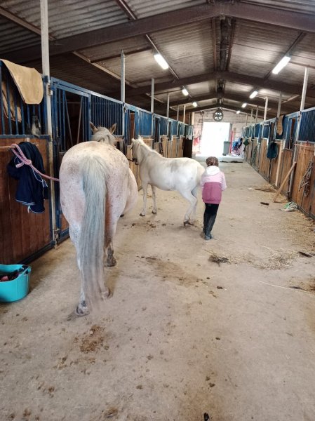 Les Ecuries Des Sources - photo 3