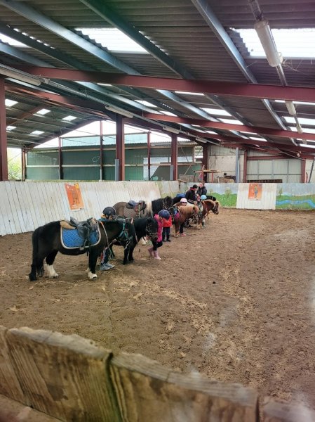 Poney Club la Marfee - photo 2
