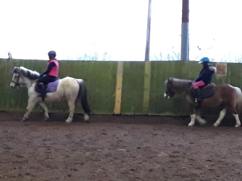 Poney Club la Marfee - photo 3