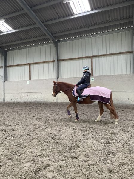 Ecuries de Bertoncourt - photo 3