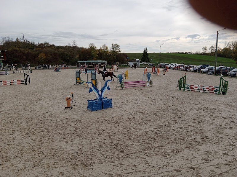 SARL Ecuries d'Orcières - photo 1