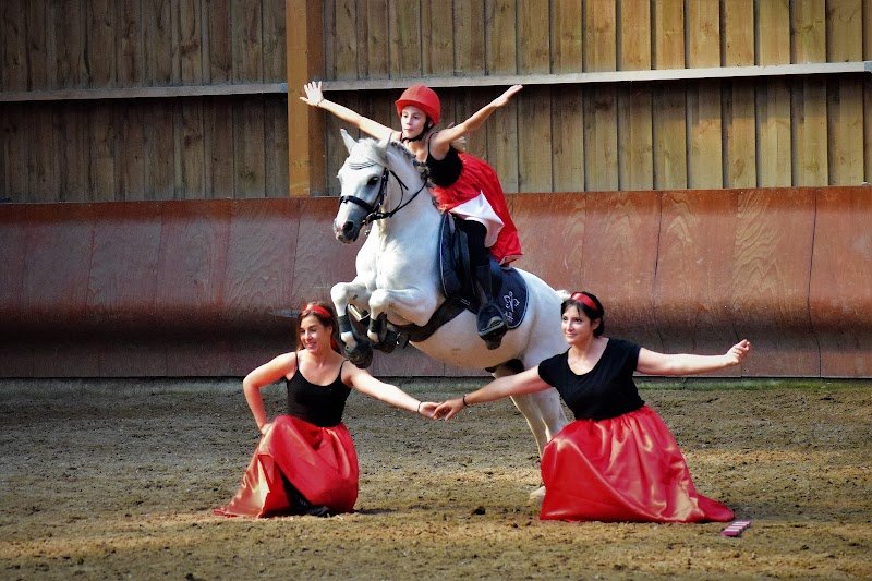 Ecurie A2L - photo 1