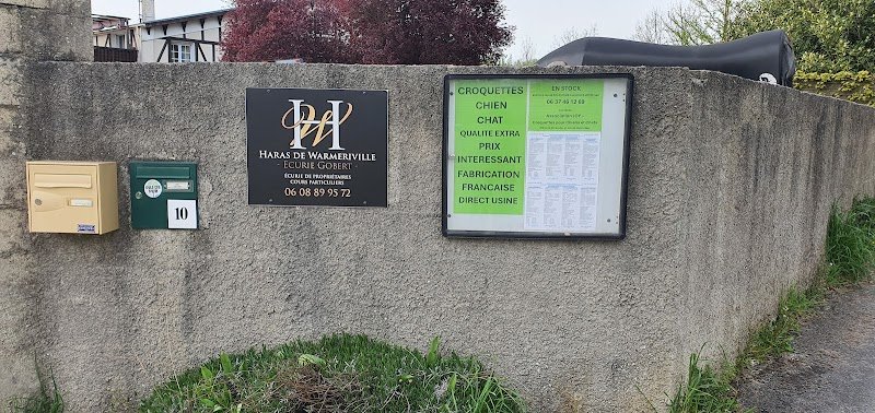 Haras de Warmeriville - Ecurie Gobert