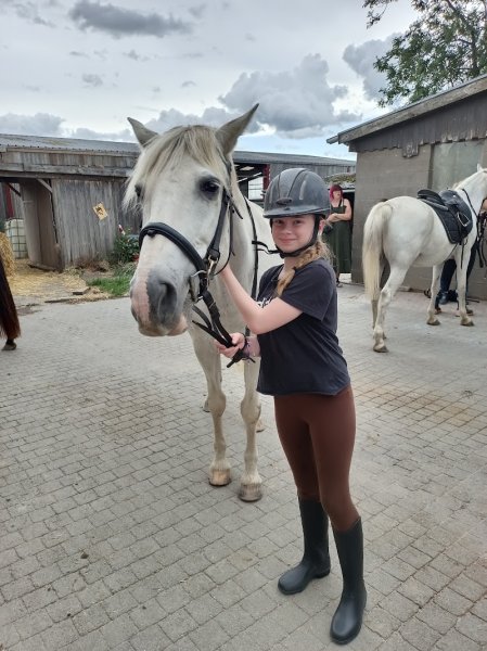 Les écuries de la duve - photo 2