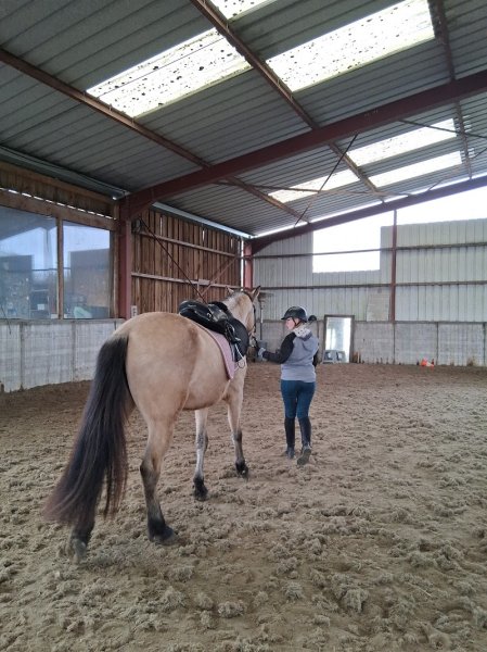 Les écuries de la duve - photo 3