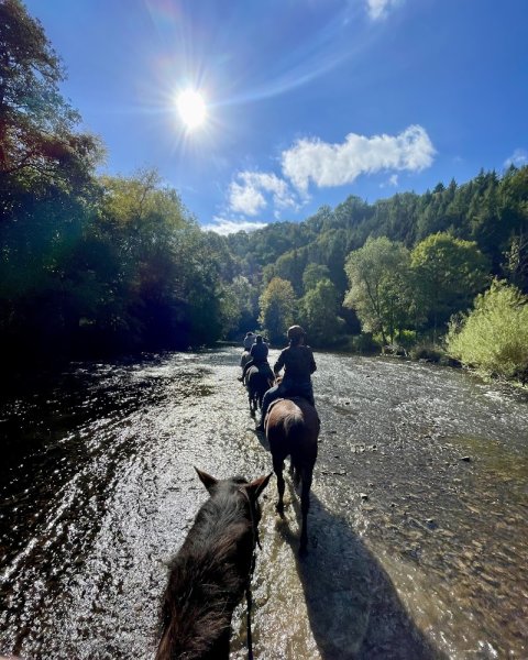 Cercle équestre belle vue - photo 1