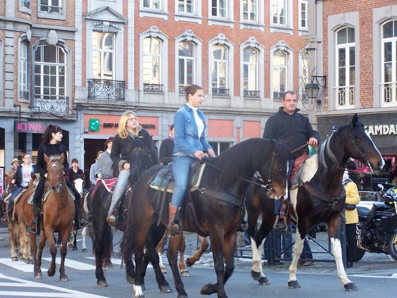 Cercle équestre belle vue - photo 2