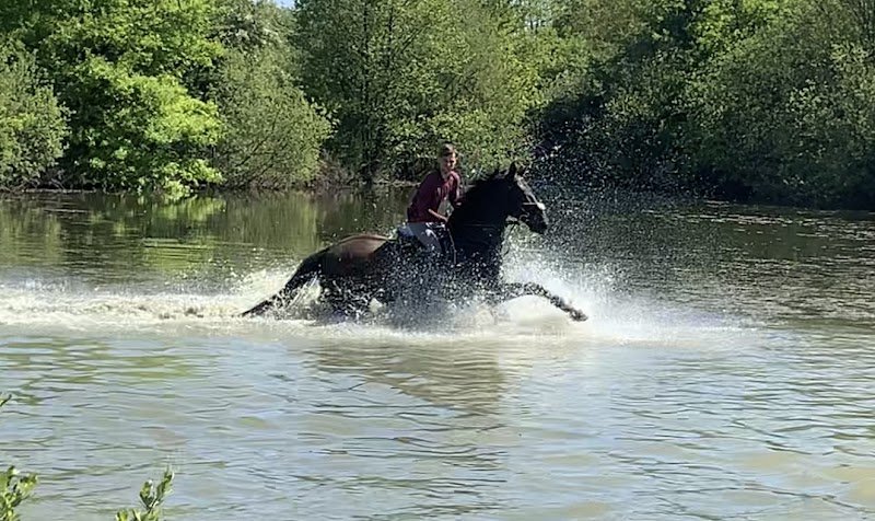 Centre Équestre Du Moulin - photo 1