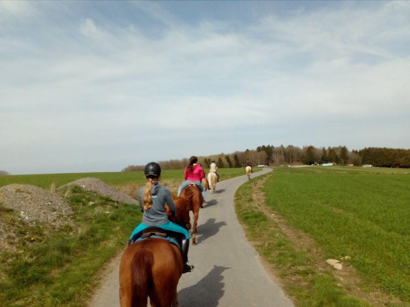 Club Equestre Du Moulin