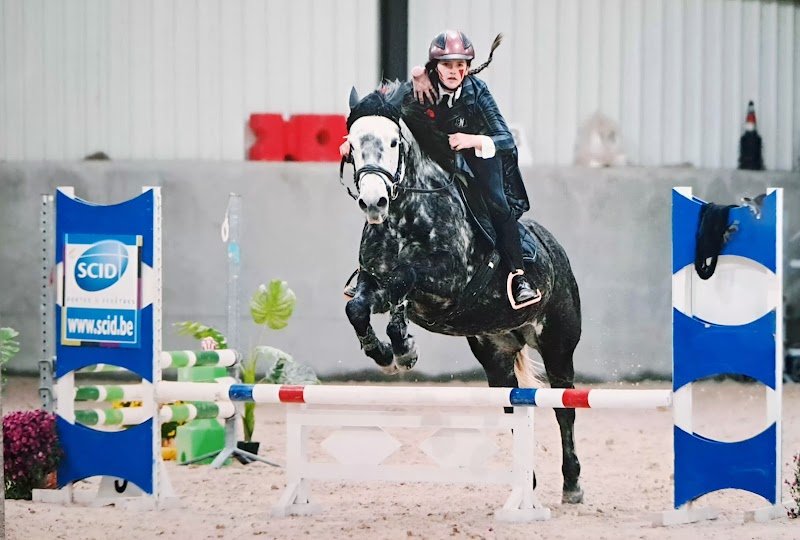 Ecurie Du Frech-Try - photo 3