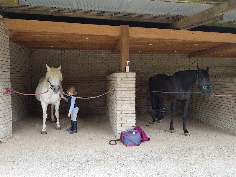 Ecurie de l'Avrainchenet