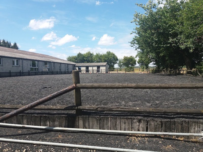 Ecurie de l'Avrainchenet - photo 3