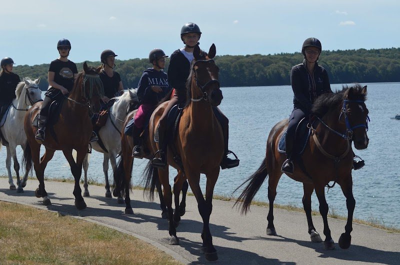 Ecurie Equino - photo 3