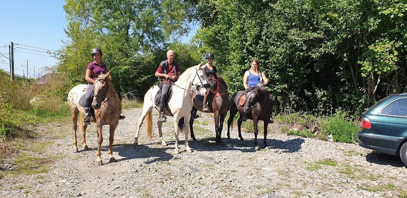 Les écuries du Routy - photo 1