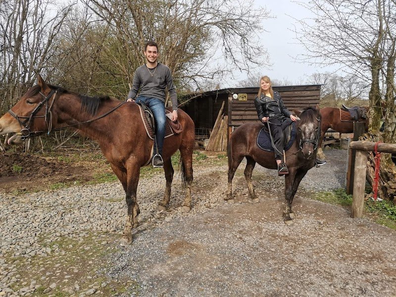 Les écuries du Routy - photo 2