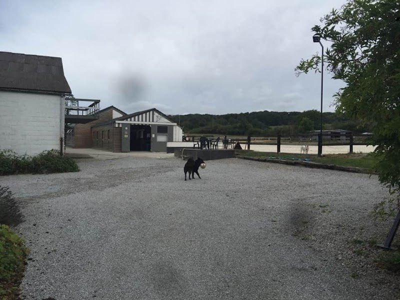 Haras de Géronsart - photo 1