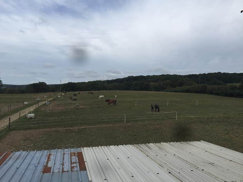 Haras de Géronsart - photo 2