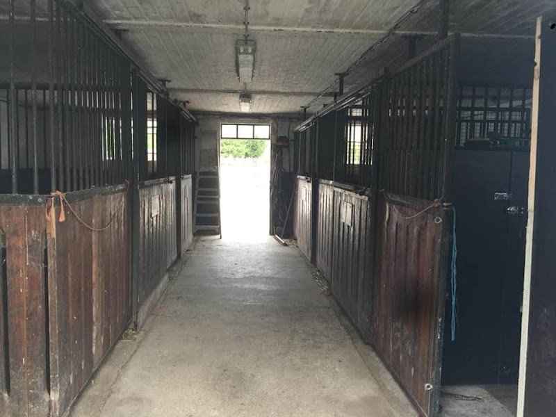 Haras de Géronsart - photo 3