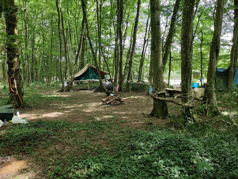 Haras de mazerny - photo 2