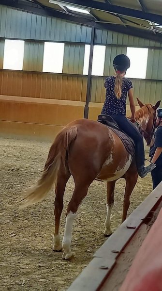 Ecuries des Moies - photo 2