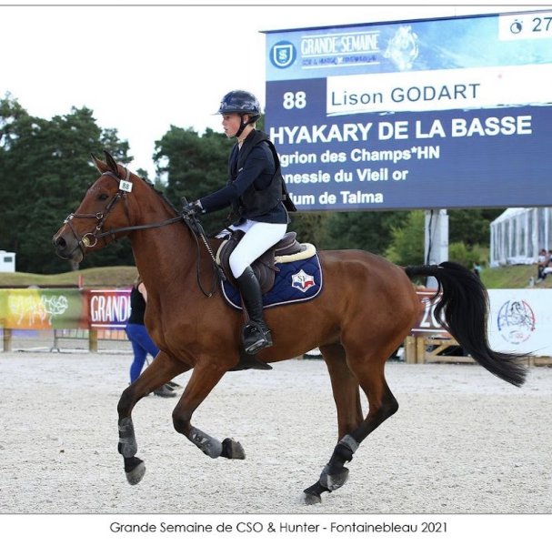 ECURIE DE LA BASSE - photo 2