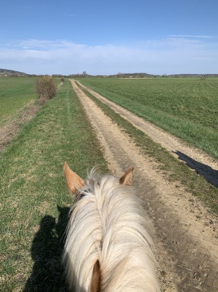 Les Écuries De Bonzée - photo 2