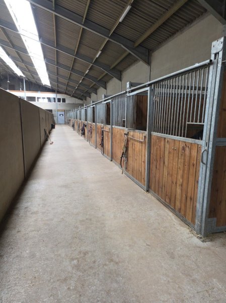 L'écurie du cheval de cœur