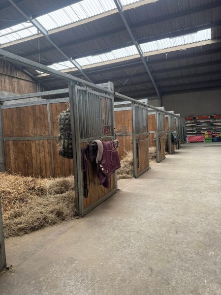 L'écurie du cheval de cœur - photo 3