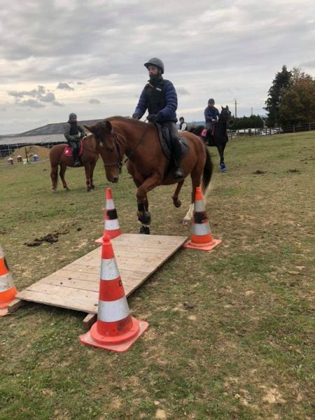 LES CAVALIERS DU PARC - photo 3