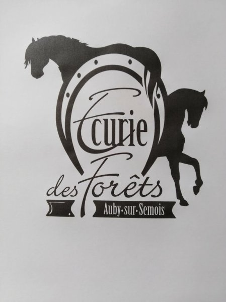 Ecurie des forêts - photo 3