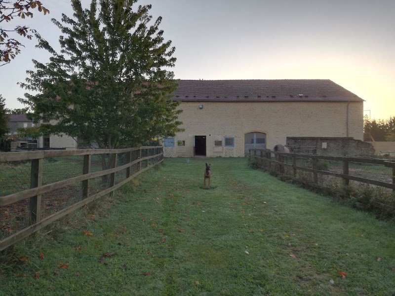 Les Ecuries de L Olivette - photo 2